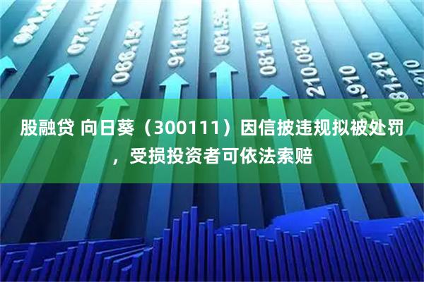 股融贷 向日葵（300111）因信披违规拟被处罚，受损投资者可依法索赔
