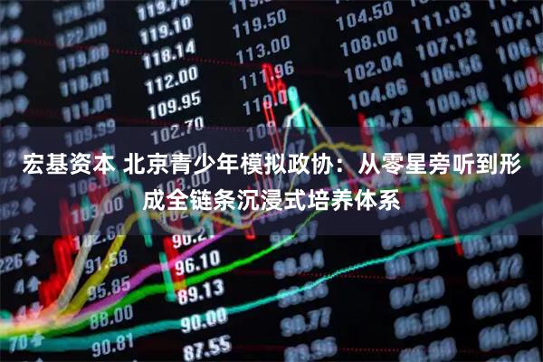 宏基资本 北京青少年模拟政协：从零星旁听到形成全链条沉浸式培养体系