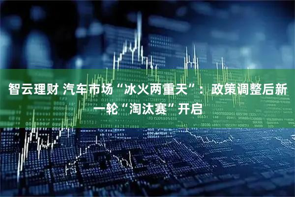 智云理财 汽车市场“冰火两重天”：政策调整后新一轮“淘汰赛”开启