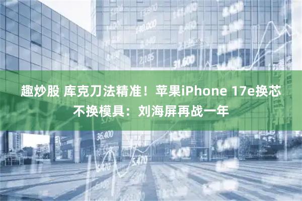 趣炒股 库克刀法精准!苹果iPhone 17e换芯不换模具:刘海屏再战一年