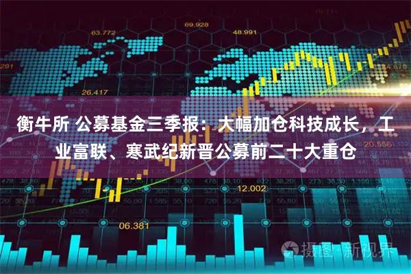 衡牛所 公募基金三季报:大幅加仓科技成长,工业富联、寒武纪新晋公募前二十大重仓